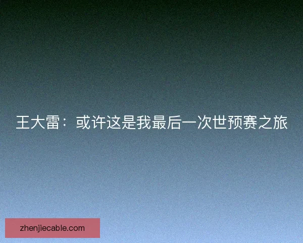 王大雷：或许这是我最后一次世预赛之旅