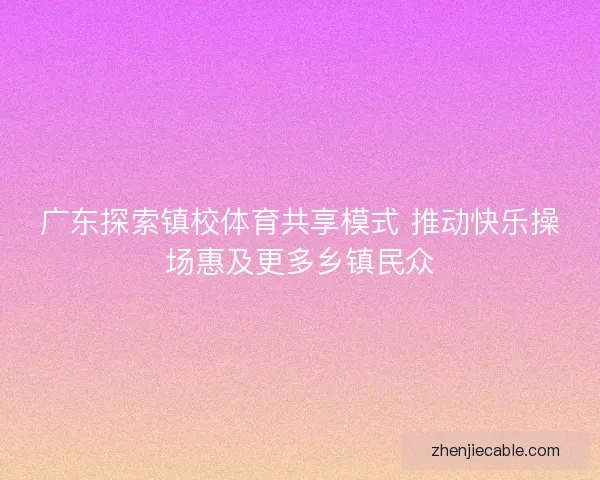 广东探索镇校体育共享模式 推动快乐操场惠及更多乡镇民众
